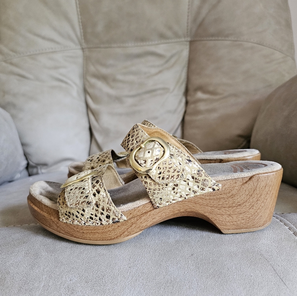 Dansko Leather Snake Skin Print Gold Buckle Mules Clogs Sandals EU 39 US 8.5